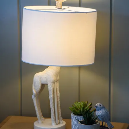 Rowing Club House Carrick on Shannon